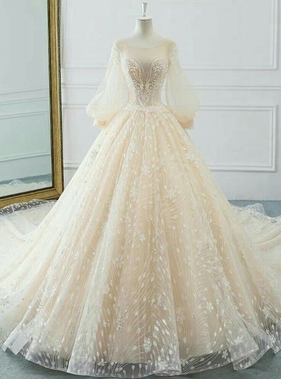 Vintage Long Sleeve Wedding Dresses Sexy Appliques Lace Ball Gown Wedding Dresses fg5419