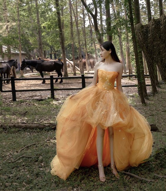 ORANGE TULLE LACE HIGH LOW PROM DRESS EVENING DRESS fg5549