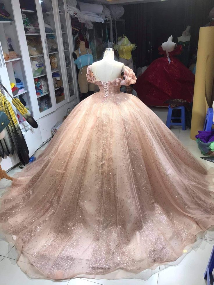 Champagne Pink Sparkly Dress,Long Evening Dress, Princess Sparkly Pink Dress, Quinceanera Dress Ball Gowns fg5261