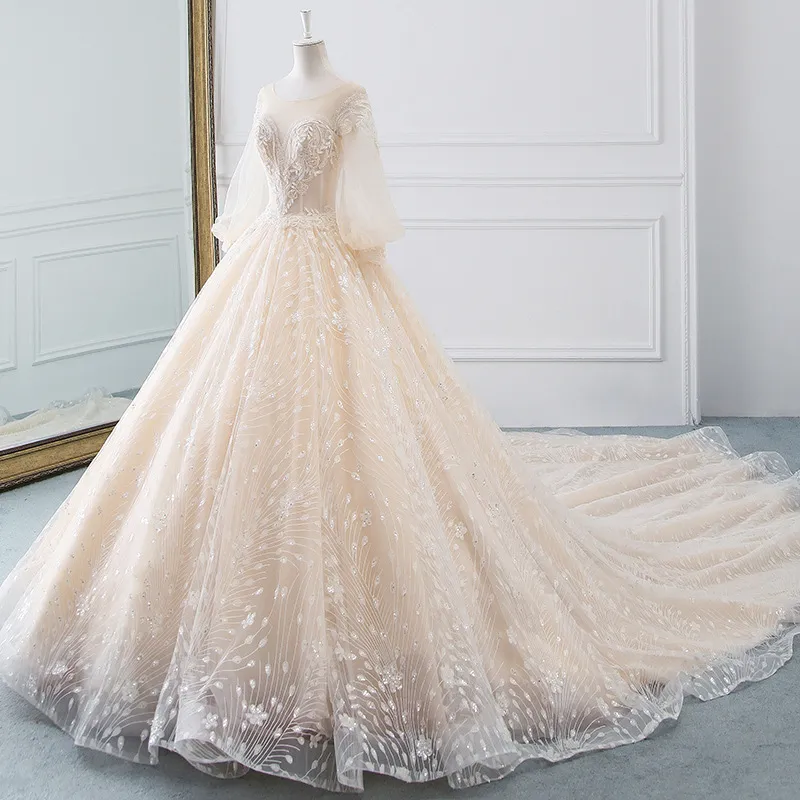 Vintage Long Sleeve Wedding Dresses Sexy Appliques Lace Ball Gown Wedding Dresses fg5419