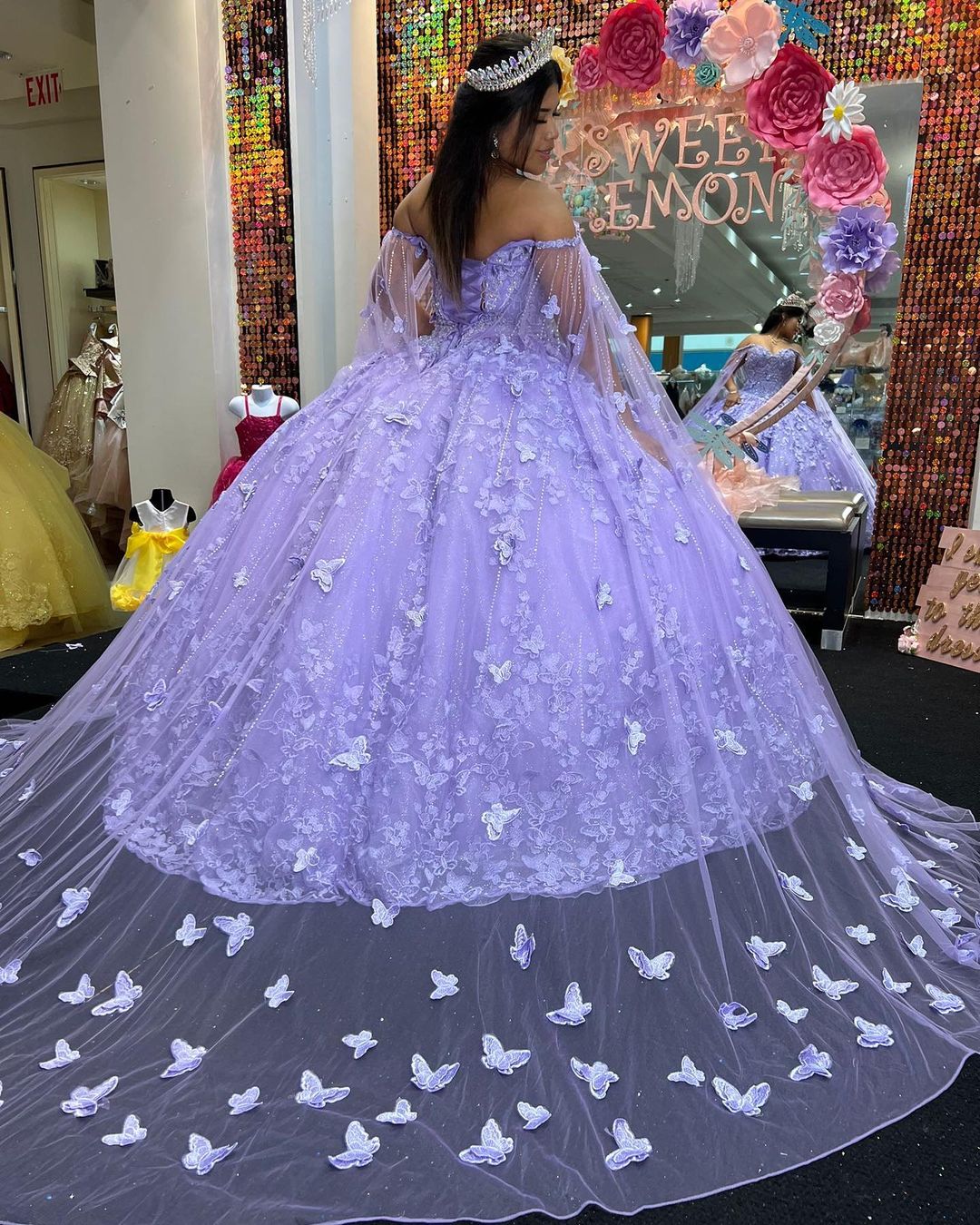 Lace Ball Gown,Long Prom Dress,Evening Dress,Prom Dresses fg496