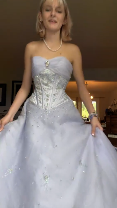 A Line Strapless Party Dress Long Evening Dress Prom Dresses    fg7814