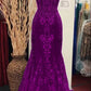 Charming V Neck Lace Mermaid Prom Dress Long Evening Dress       fg5452