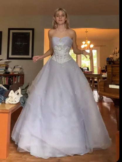 A Line Strapless Party Dress Long Evening Dress Prom Dresses    fg7814