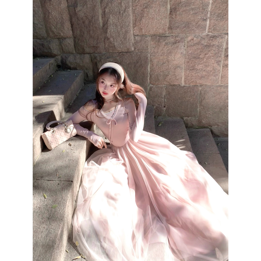 Ballet-inspired pink knitted mesh dress French-inspired inner layer.  A27