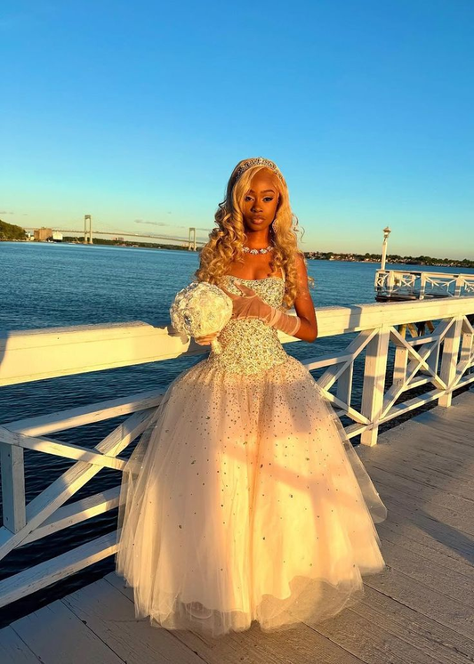 Ball Gown Tulle Princess Dress Long Prom Dress Evening Dress Birthday Dress  fg8418