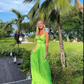 Apple Green Prom Dresses Long Evening Dresses      fg2169