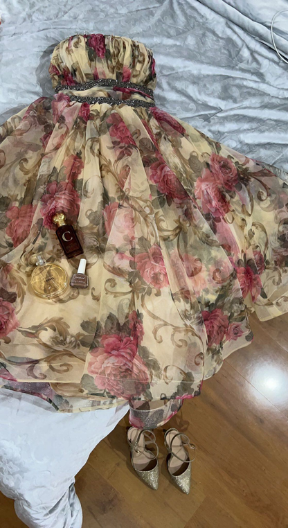 Flora Chiffon Prom Dress Evening Dress With Beading fg8229