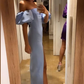Fashion Off The Shoulder Prom Dress, Christmas Dress      fg3332