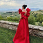Red long formal prom dress, long evening party Gown     fg899